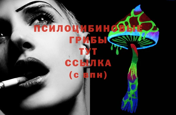гашик Абдулино